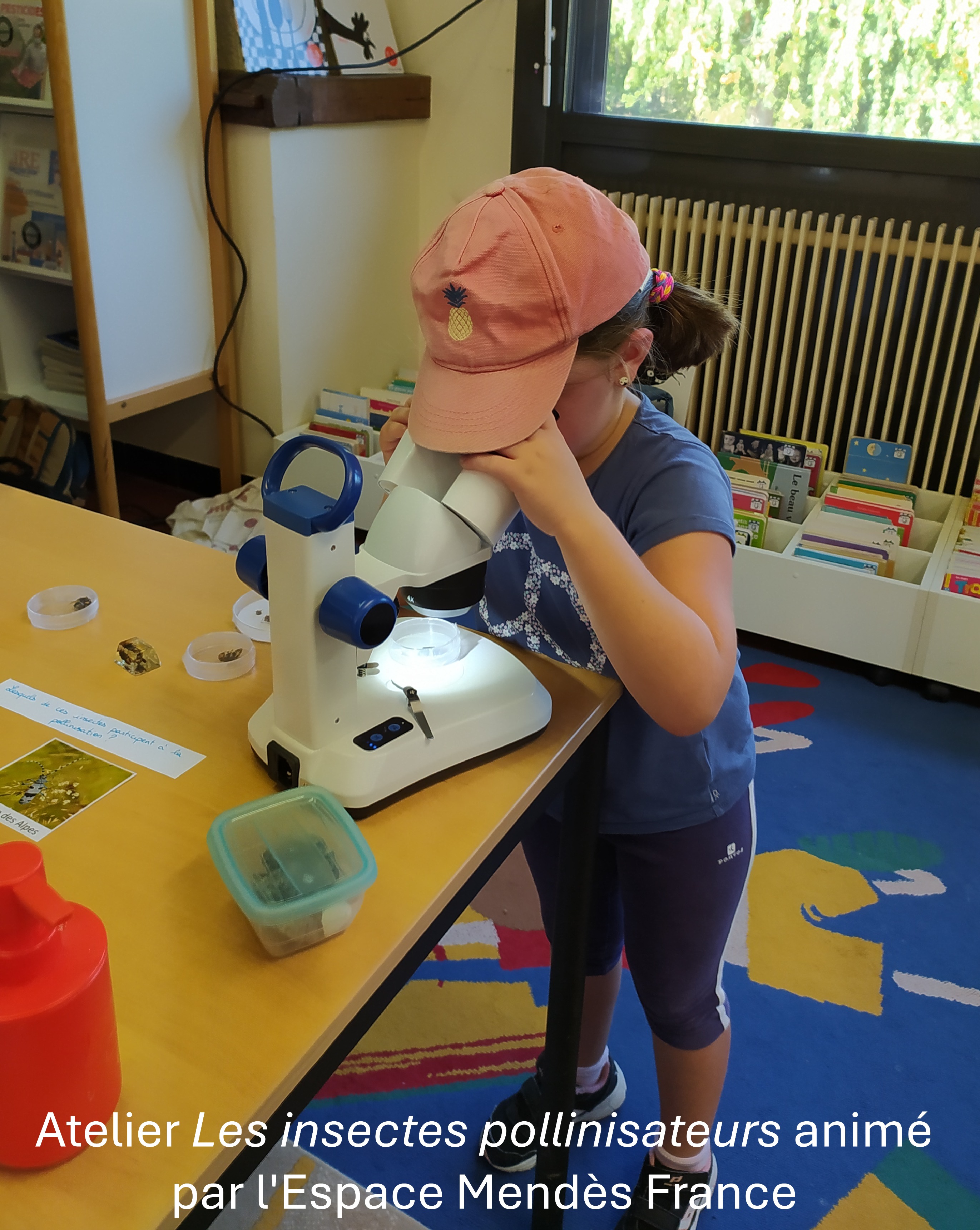 Atelier Les insectes pollinisateurs anime par lEspace Mendes France.jpg